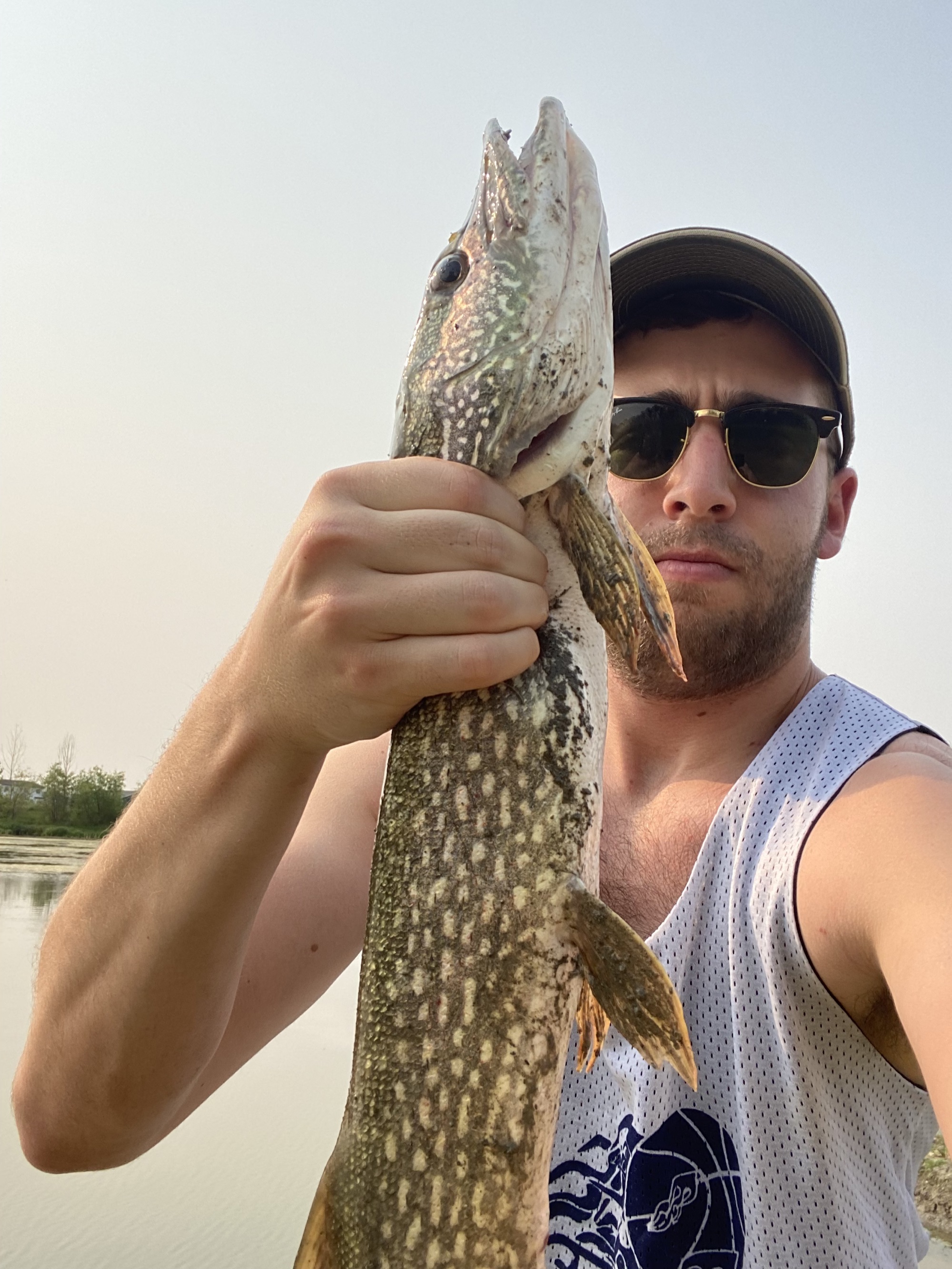 North Dakota ballin'